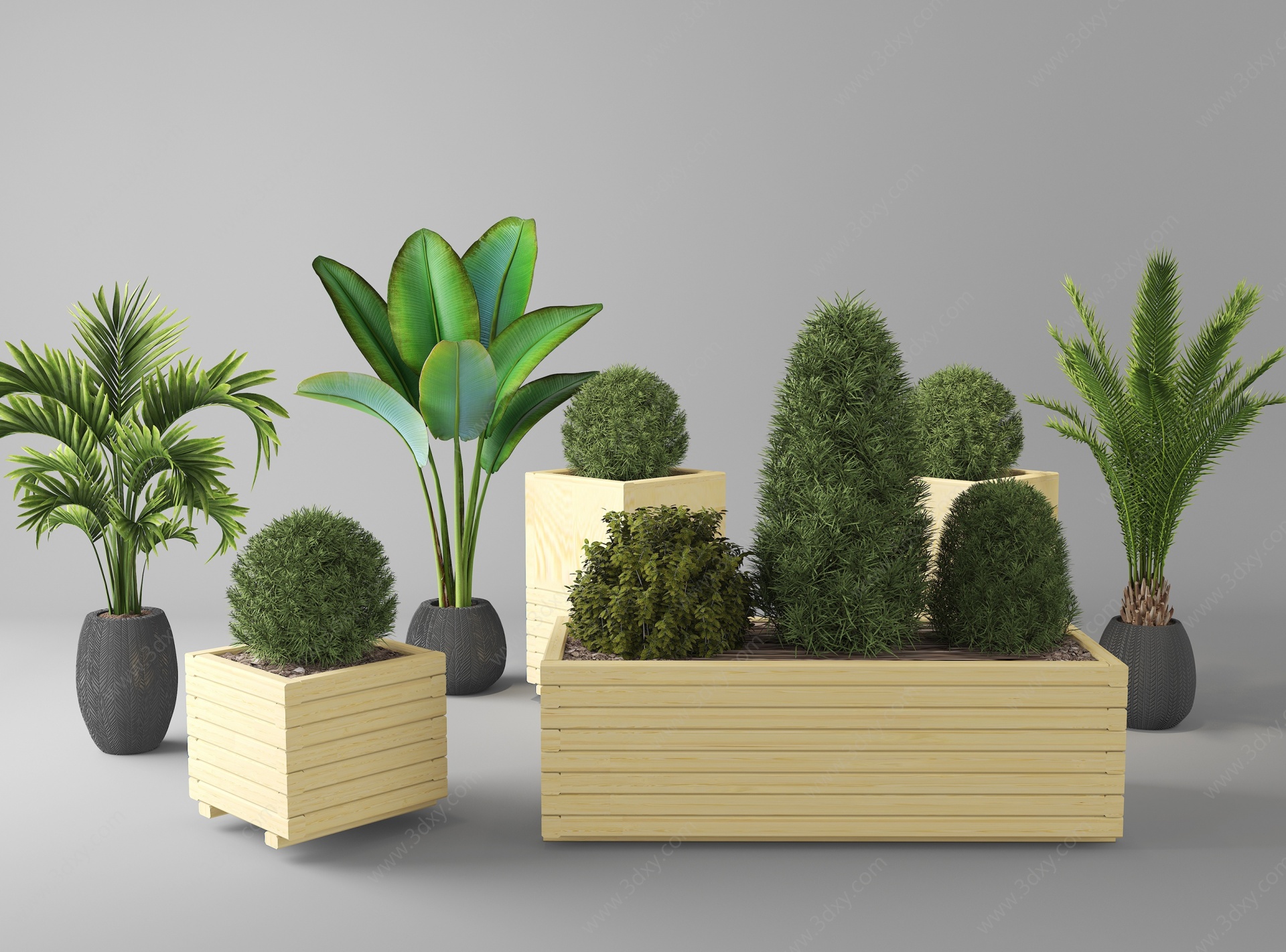 日式盆栽植物花草户外树木3D模型