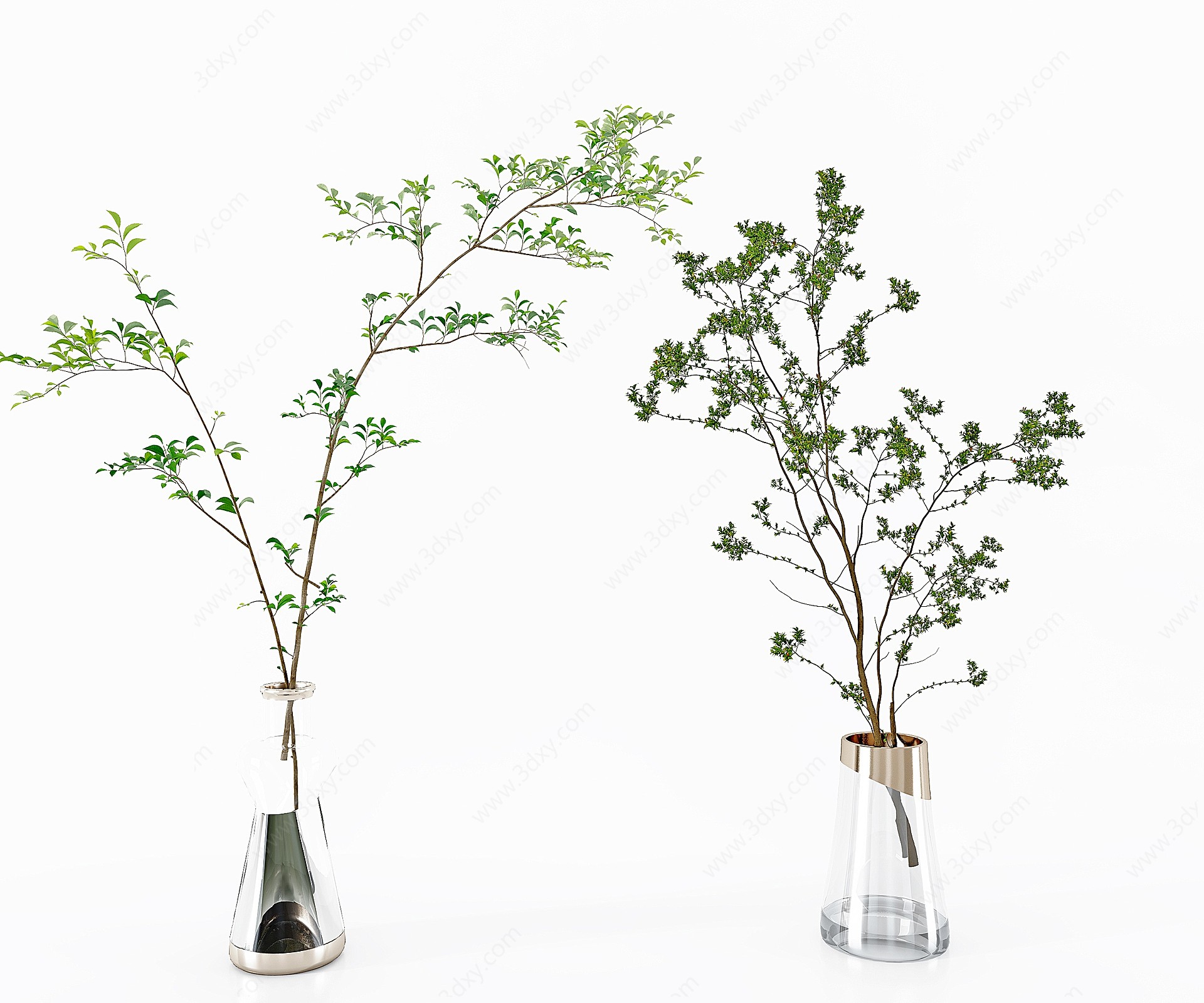 现代植物绿植盆栽3D模型