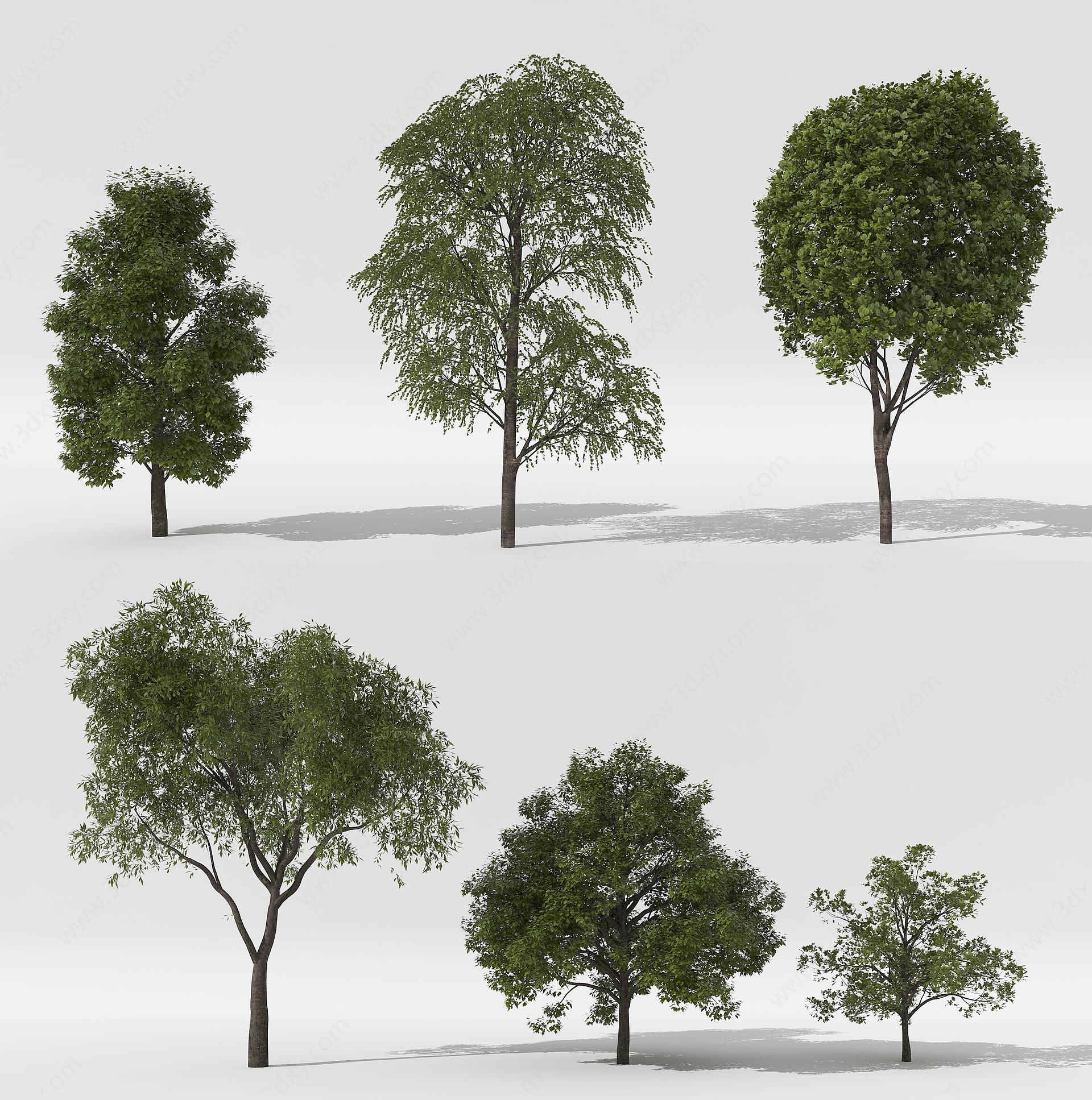 庭院树植物花草3D模型