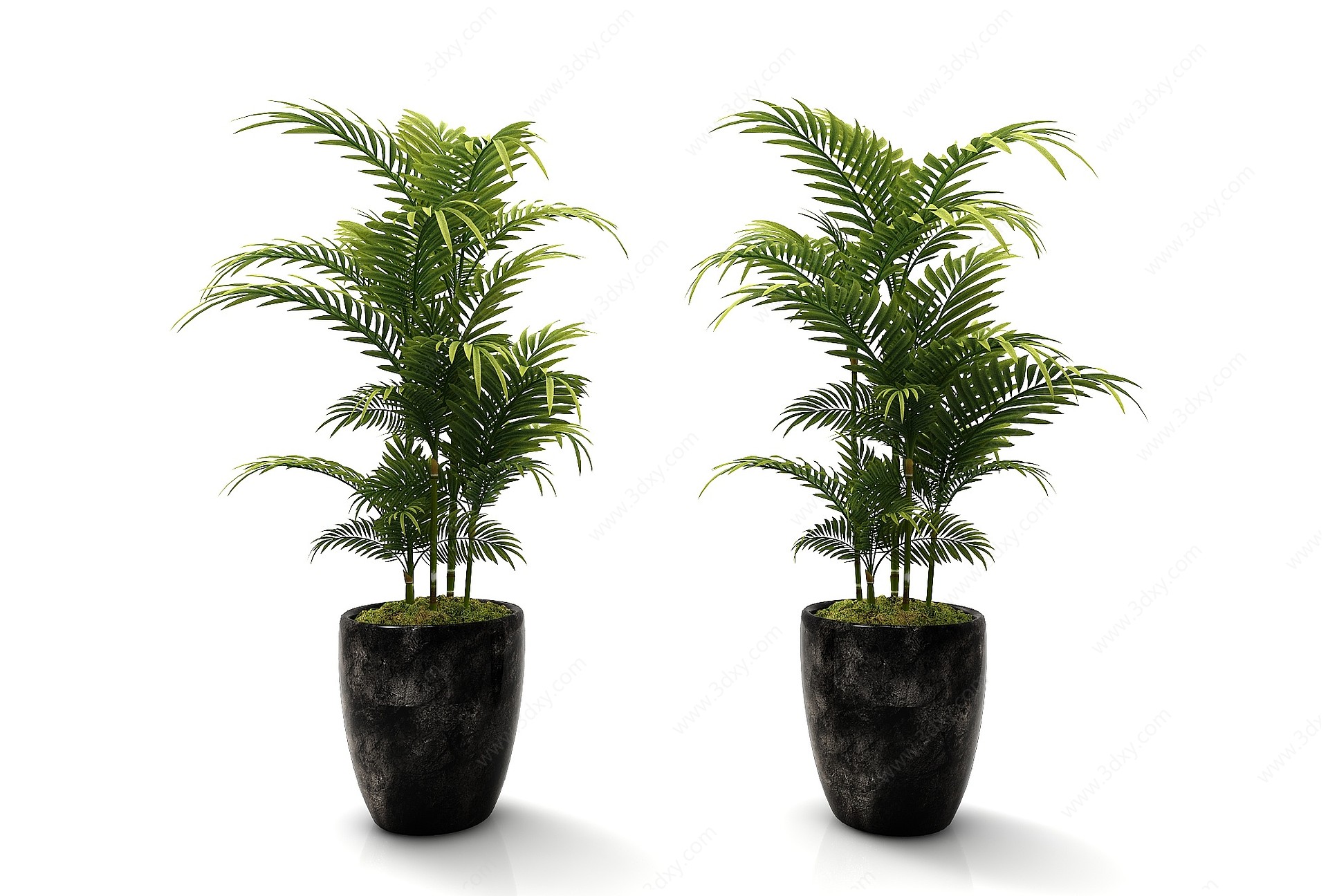 现代风格植物花盆3D模型