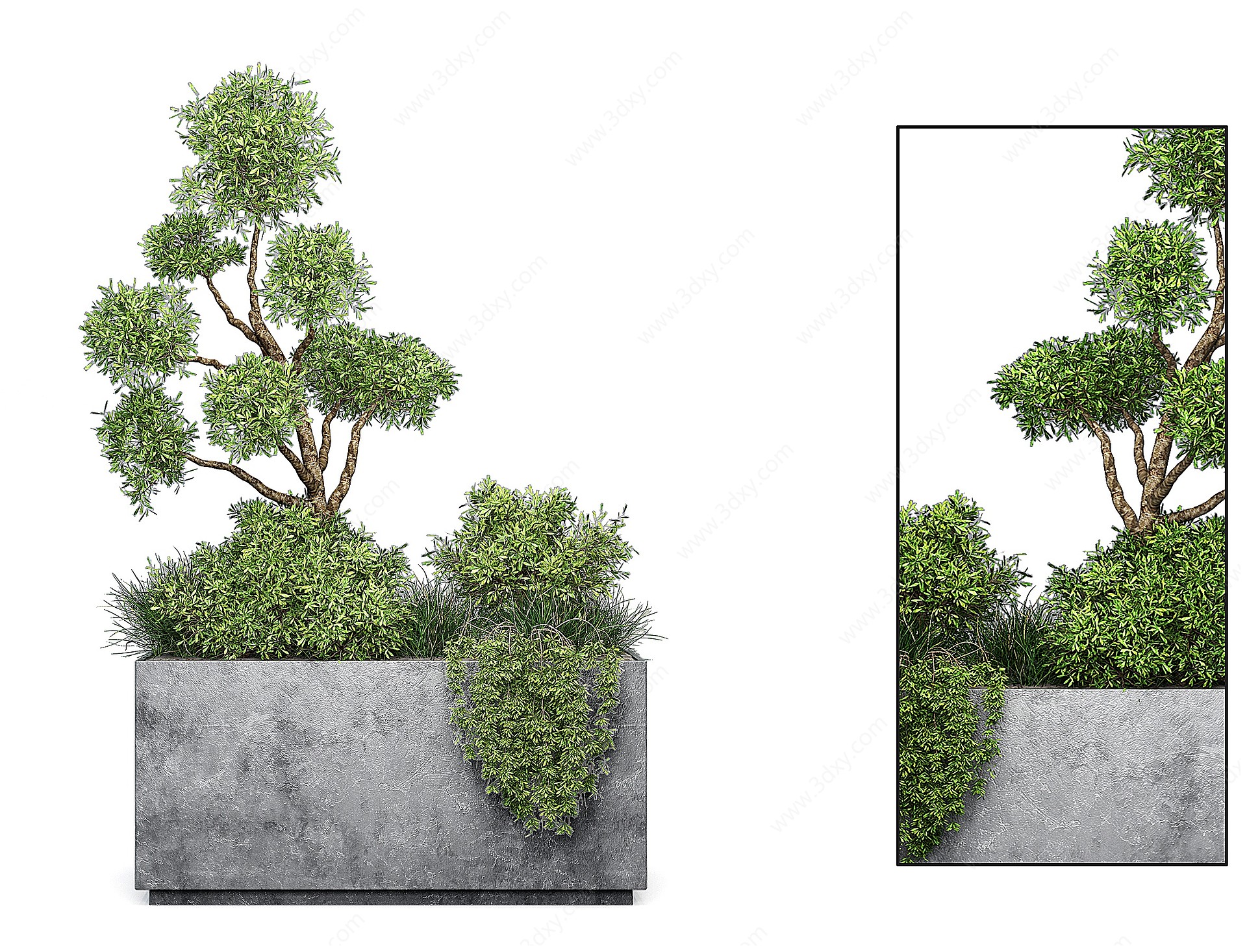 现代绿植盆栽花槽3D模型