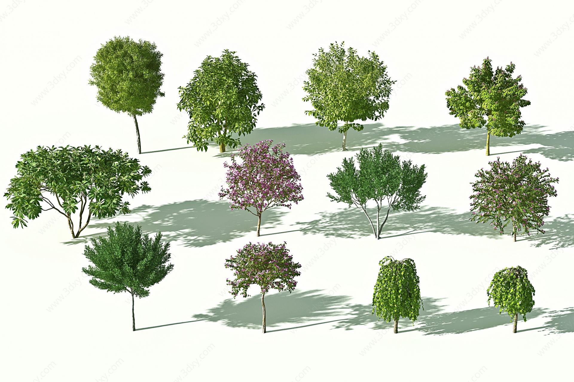 现代花树3D模型