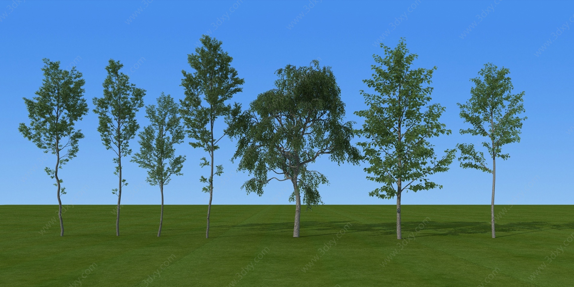 现代园林森林景观树木小品3D模型