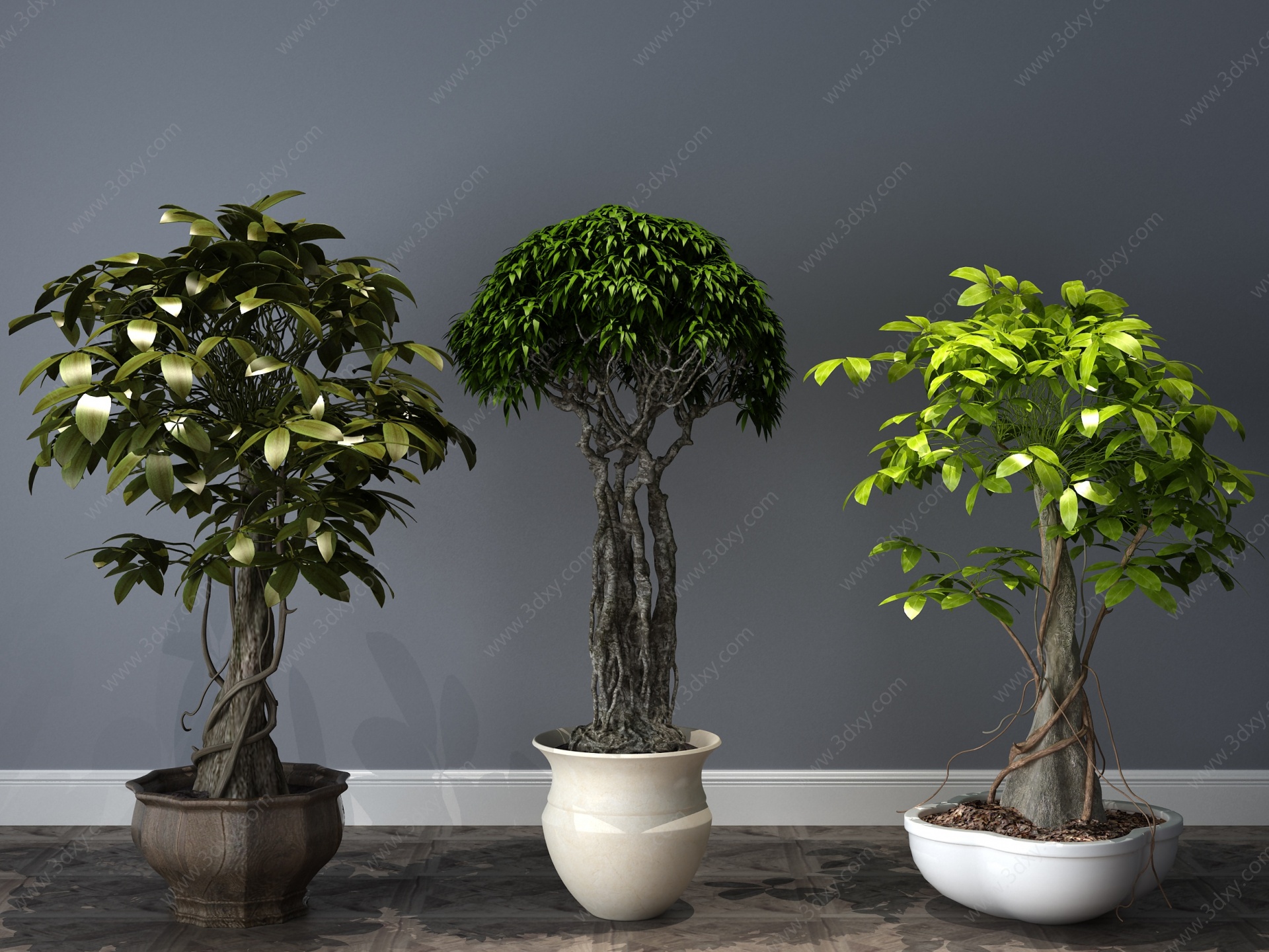 现代植物盆栽盆景3D模型
