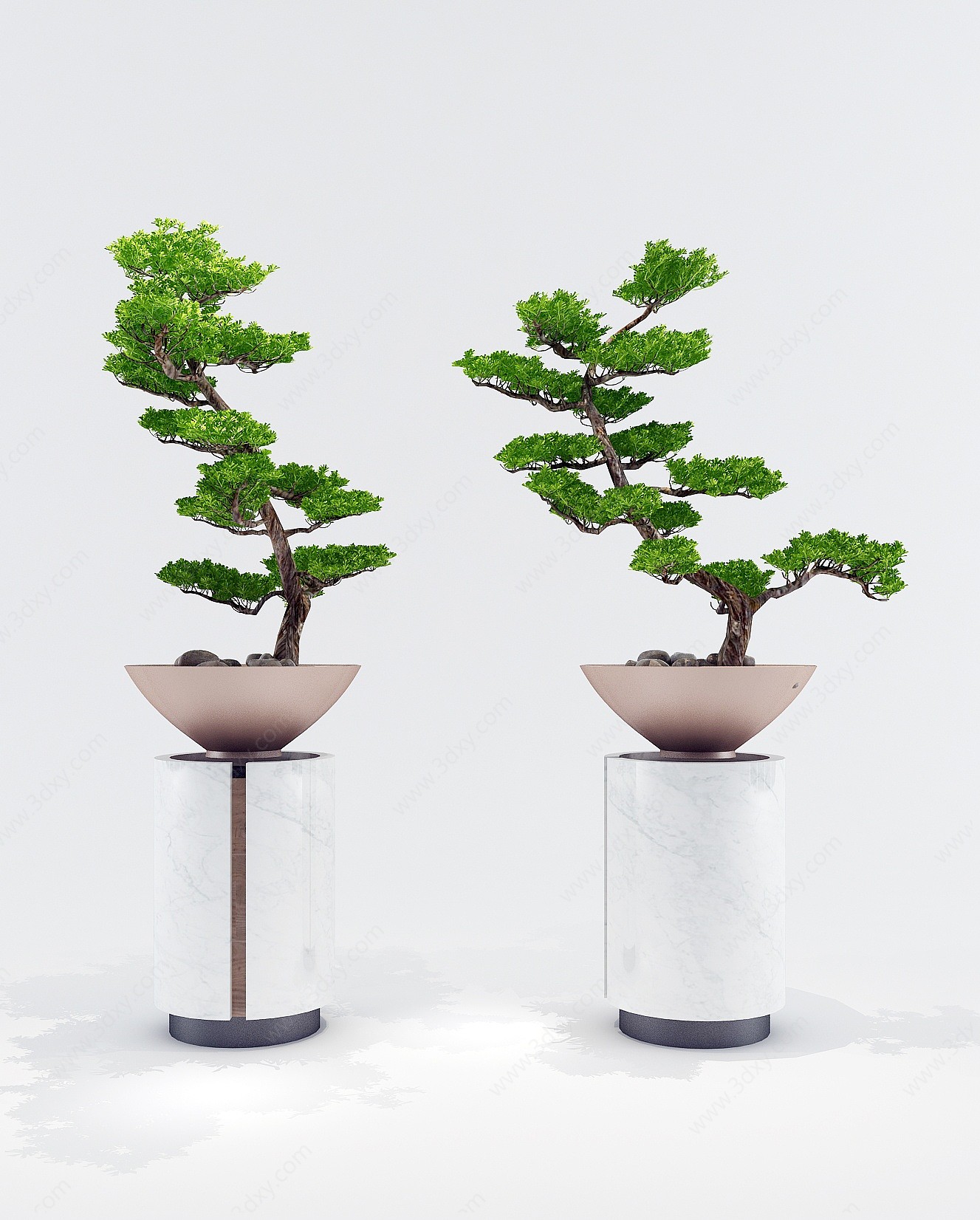 现代松树盆景植物3D模型