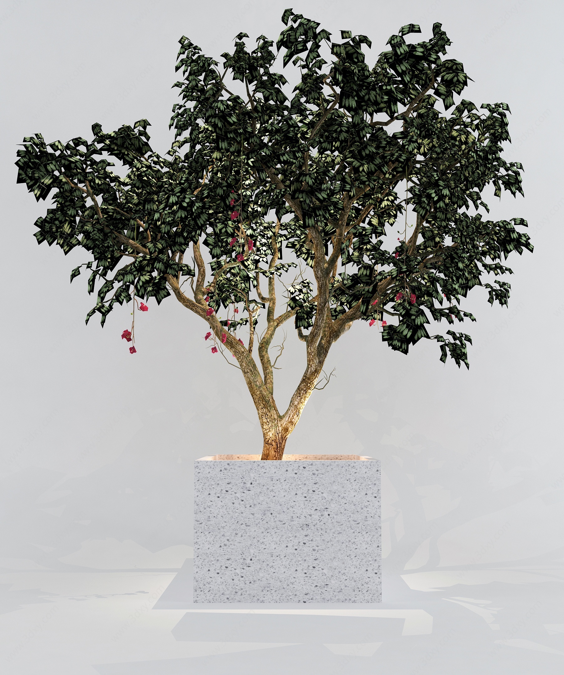 工业风盆栽树造型树花坛树3D模型