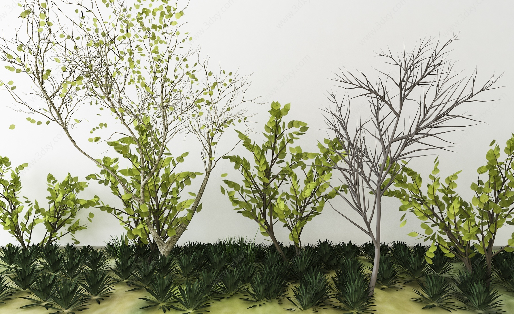 现代树植物组合3D模型