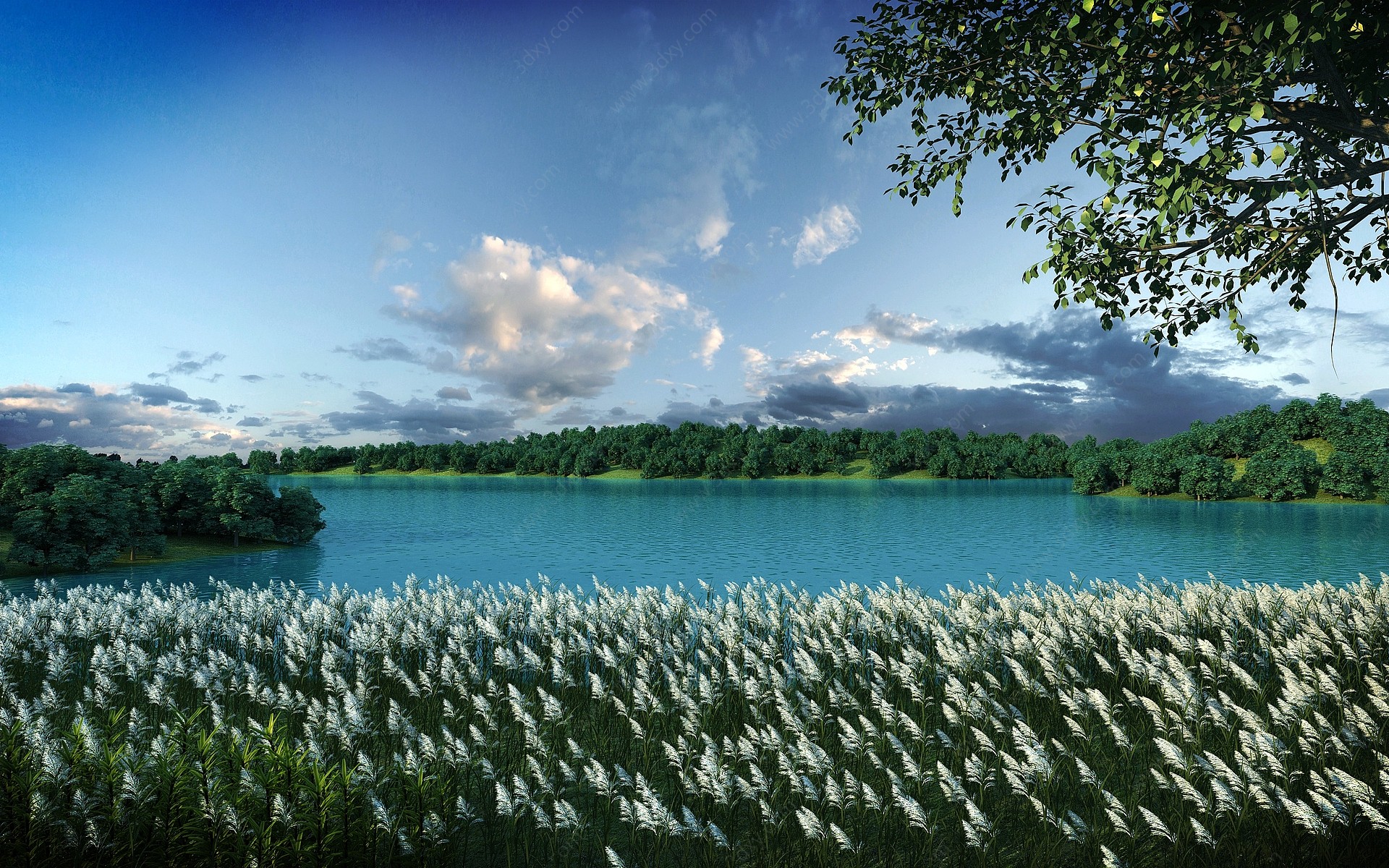 现代室外湿地公园3D模型