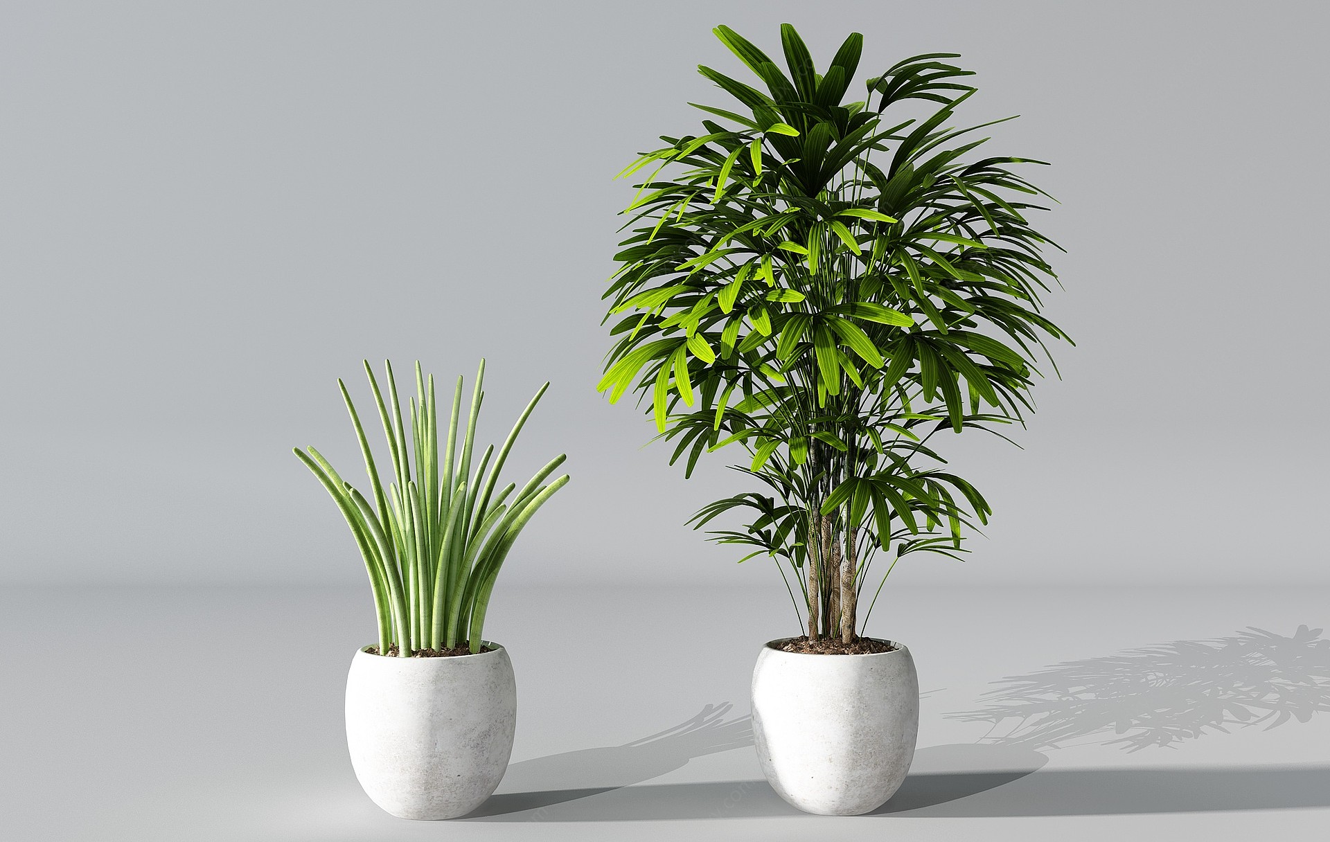 植物盆景盆栽绿植花盆3D模型