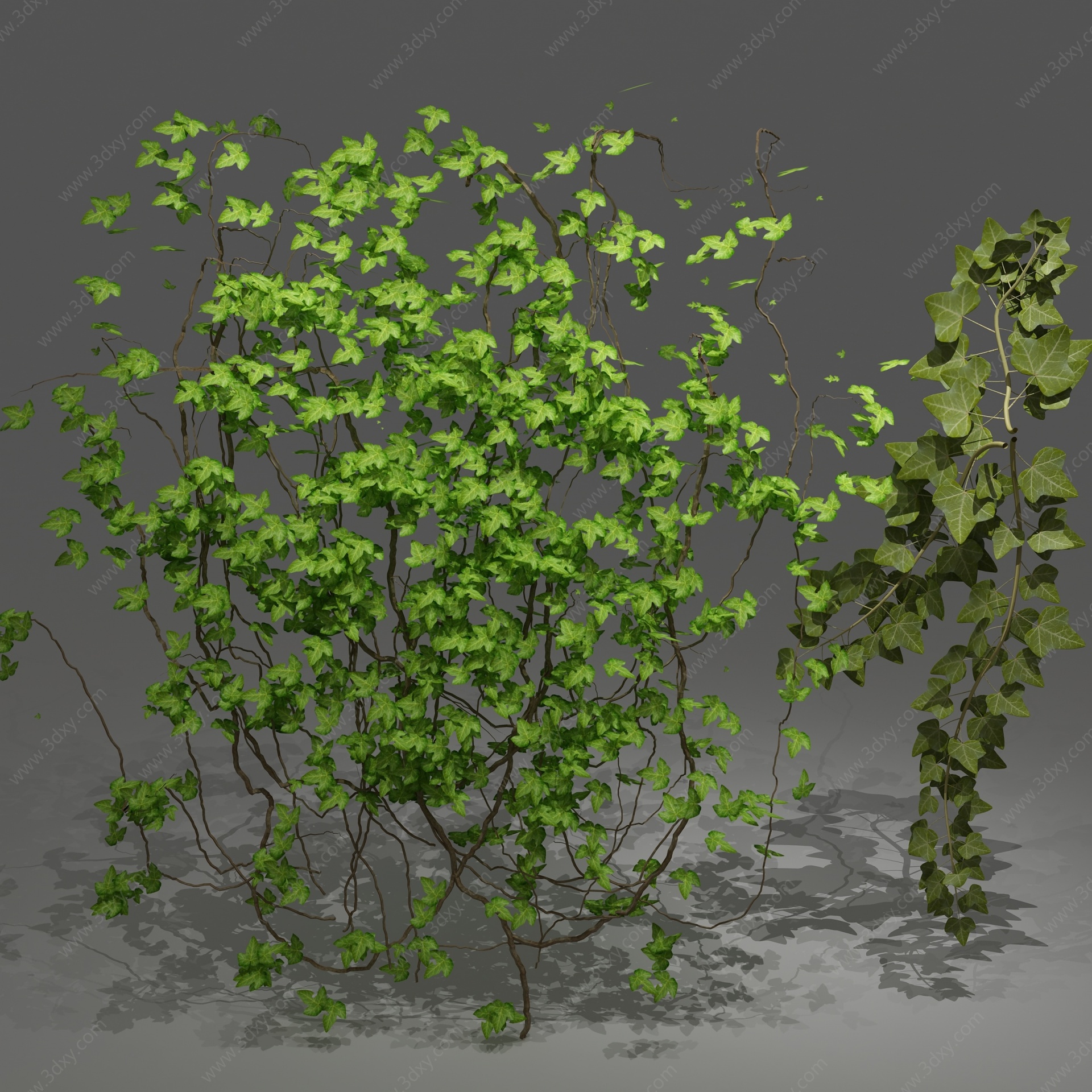 现代植物绿植墙藤蔓3D模型