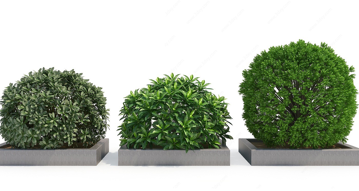 室外绿植球灌木3D模型