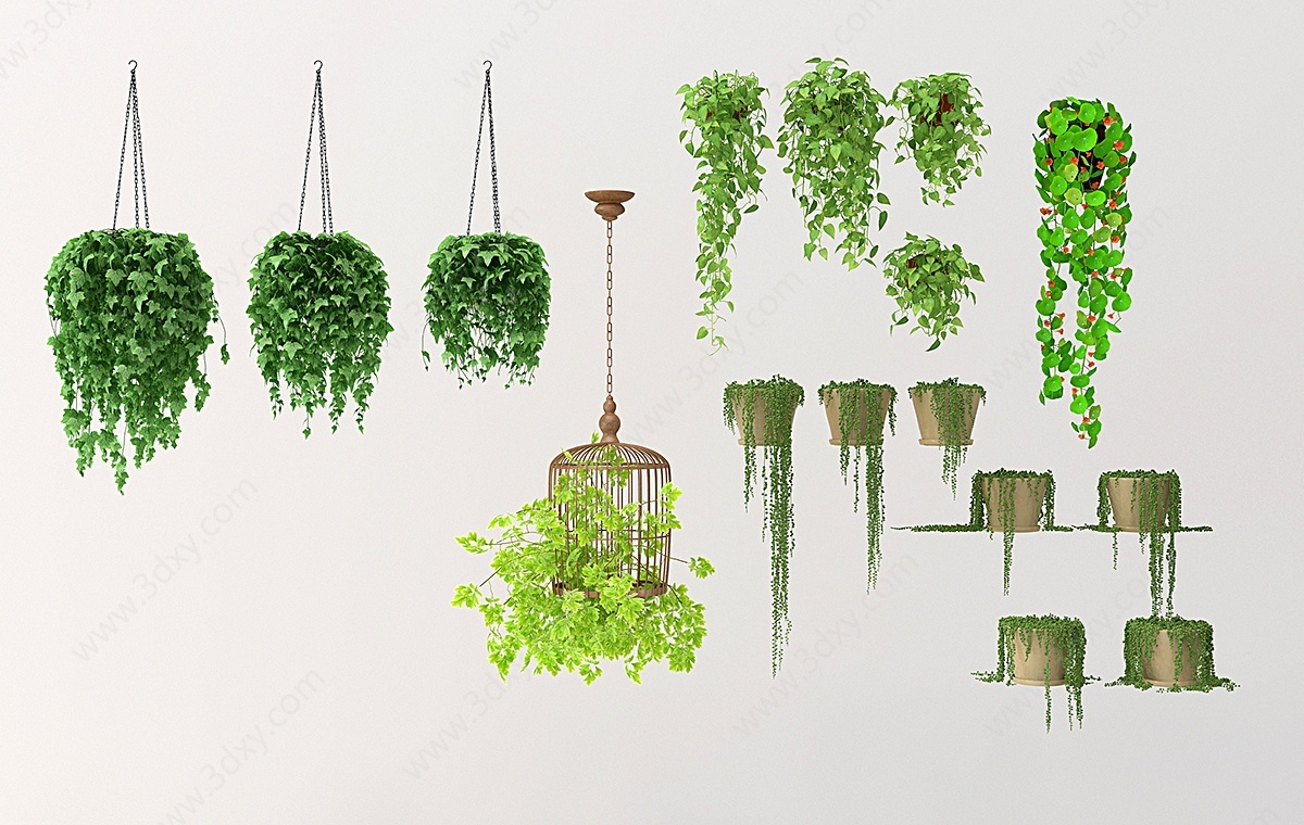 现代藤蔓吊篮植物组合3D模型
