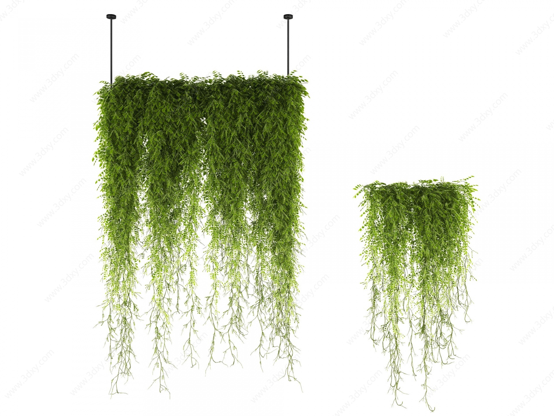 藤蔓植物绿植吊装植物3D模型
