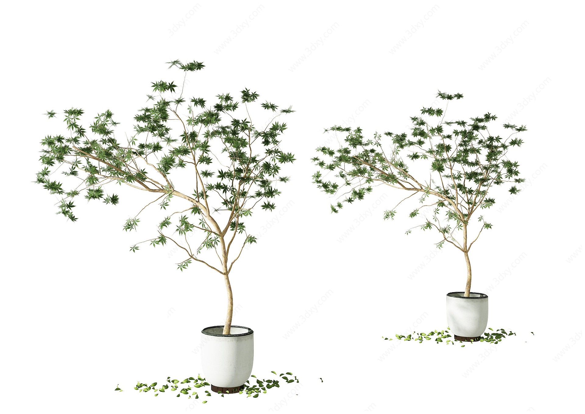 现代绿植植物3D模型
