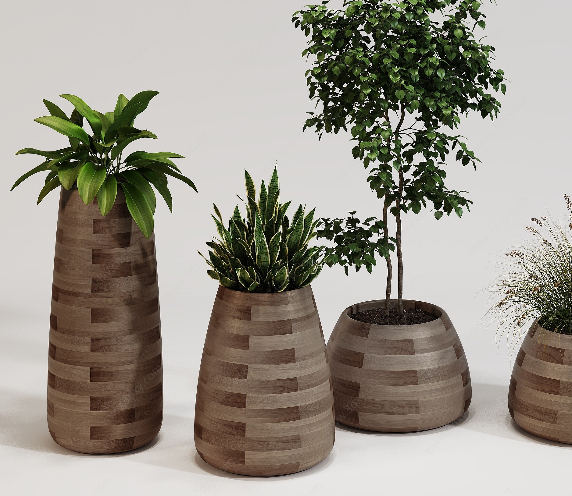 现代工业风室内植物盆景3D模型