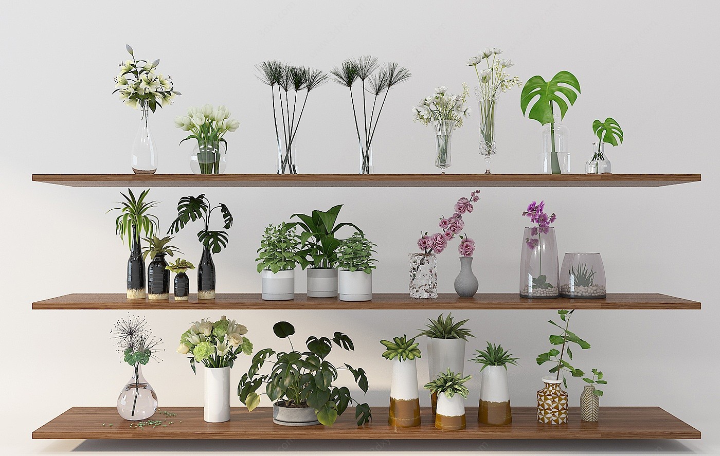 现代绿植花卉花瓶组合3D模型