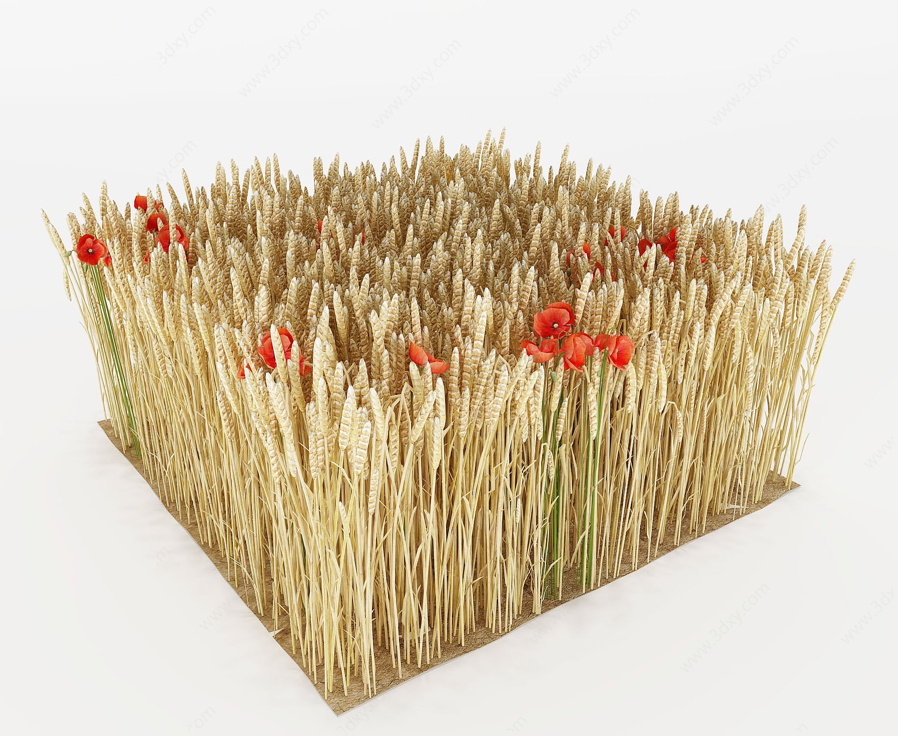 现代稻草3D模型