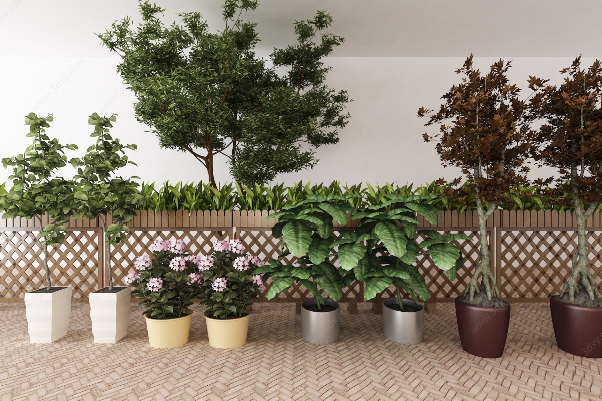现代植物盆栽树组合3D模型