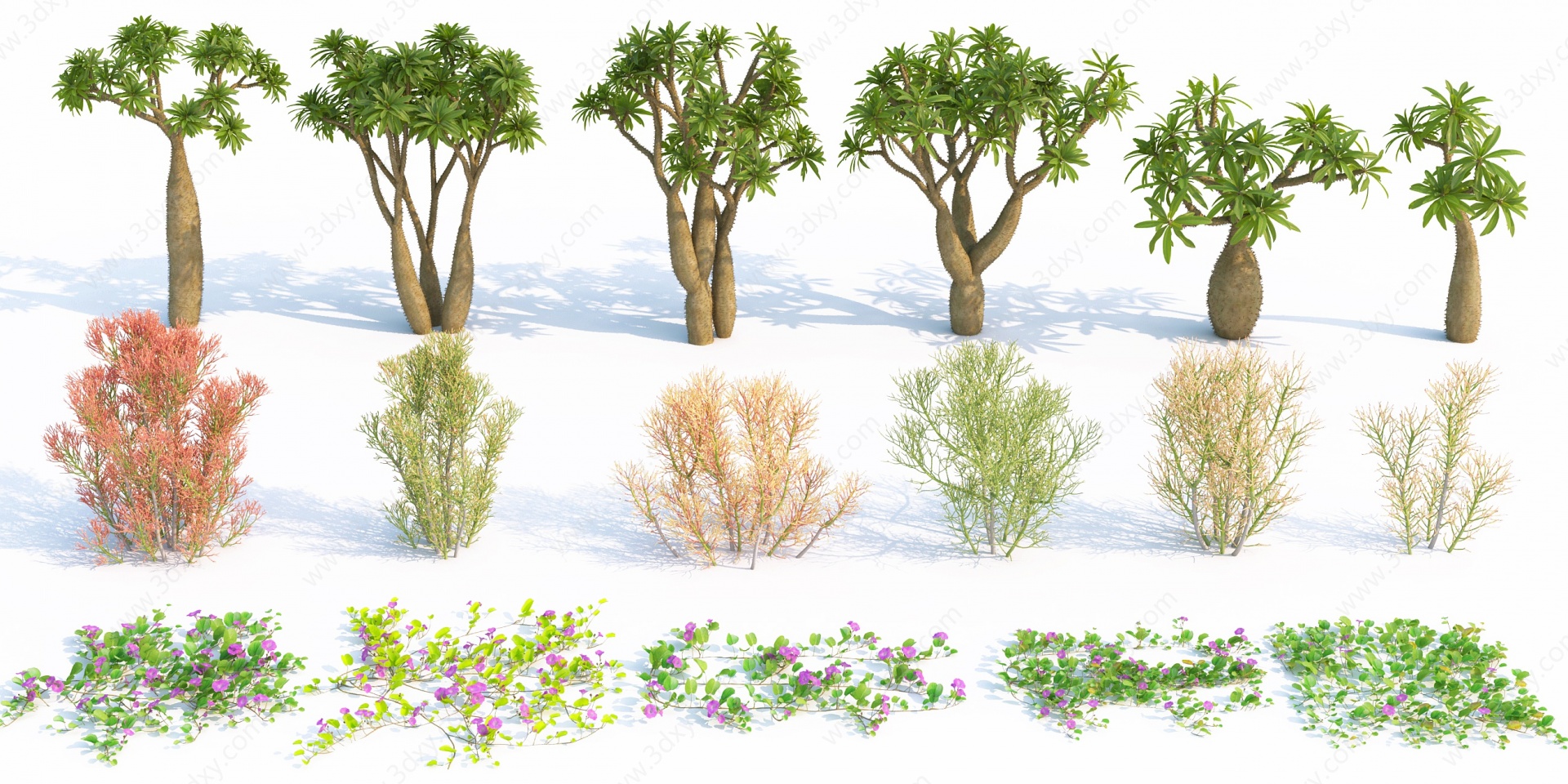 现代灌木植物3D模型