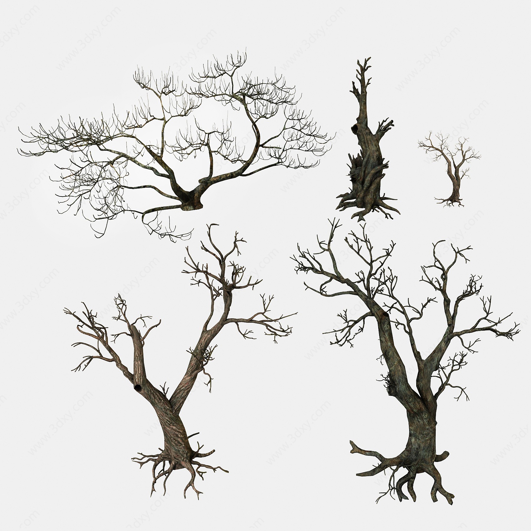 枯树枯枝树干木头景观树3D模型