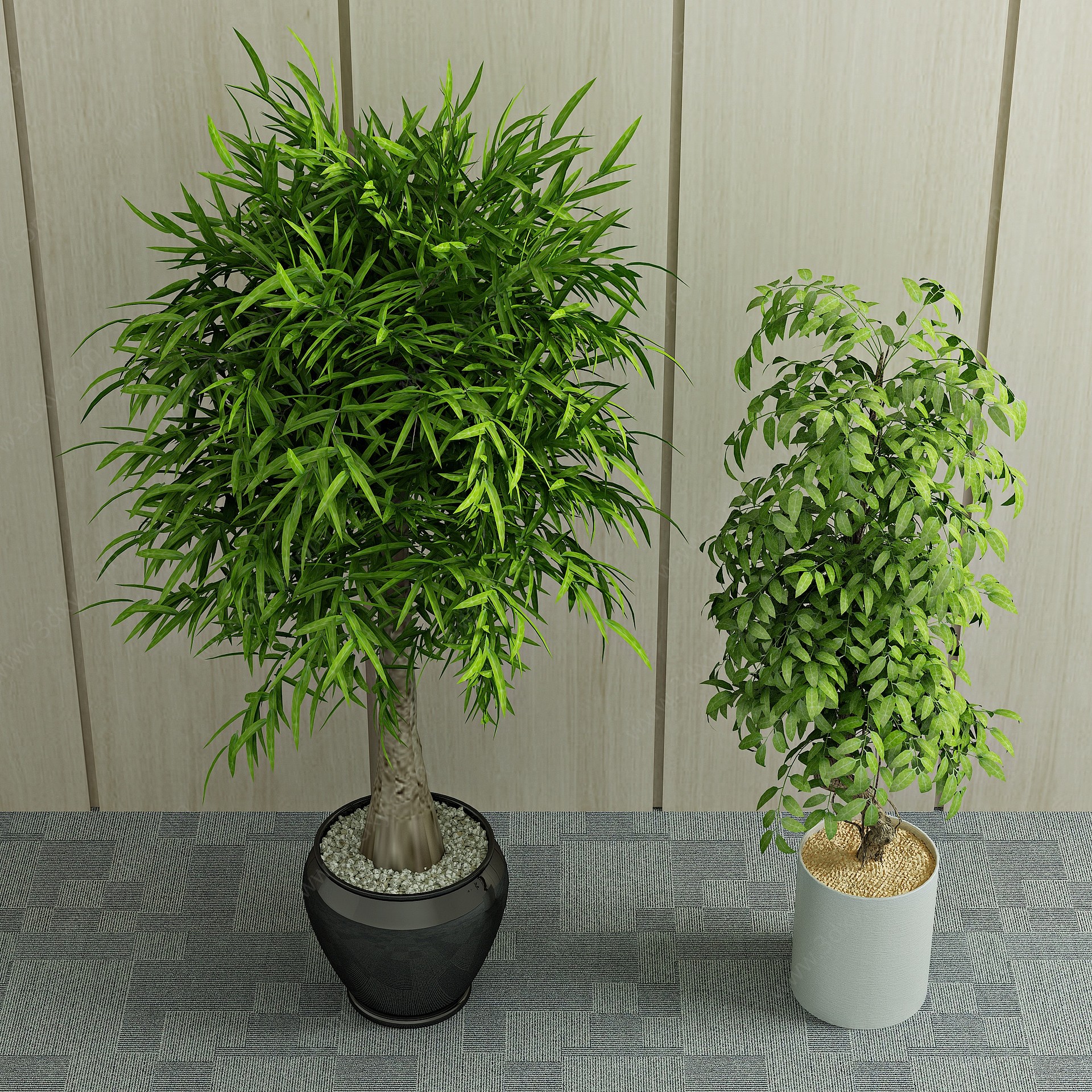 现代植物盆栽绿植3D模型