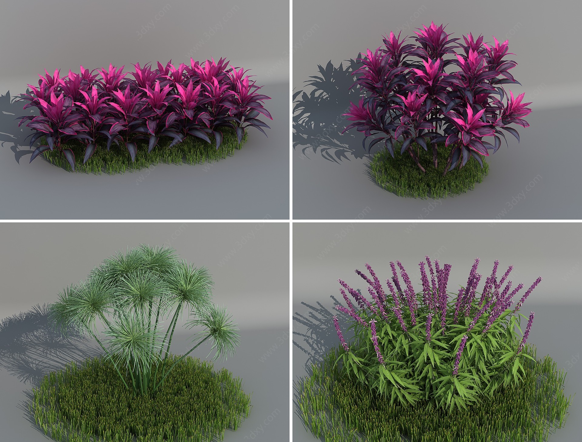 灌木植物花卉纸莎草茱蕉3D模型