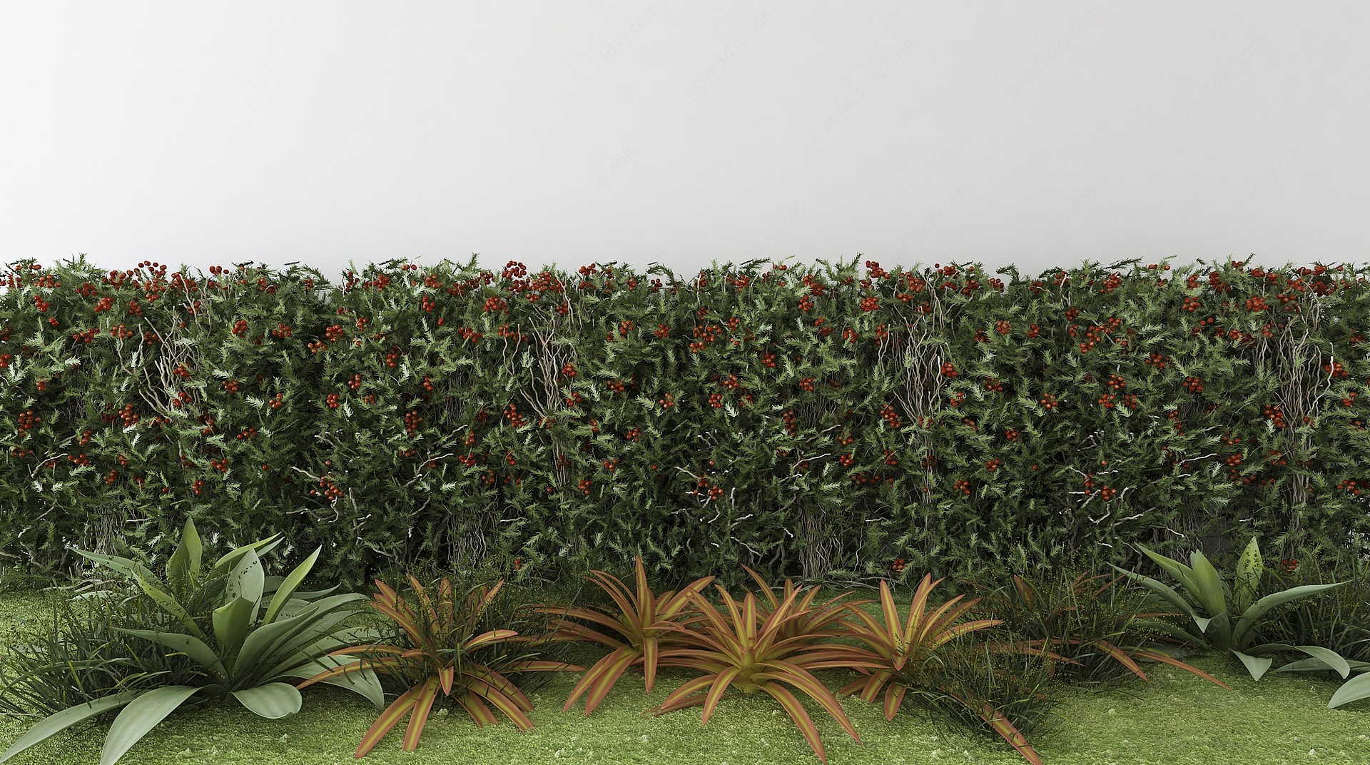现代植物盆栽木3D模型