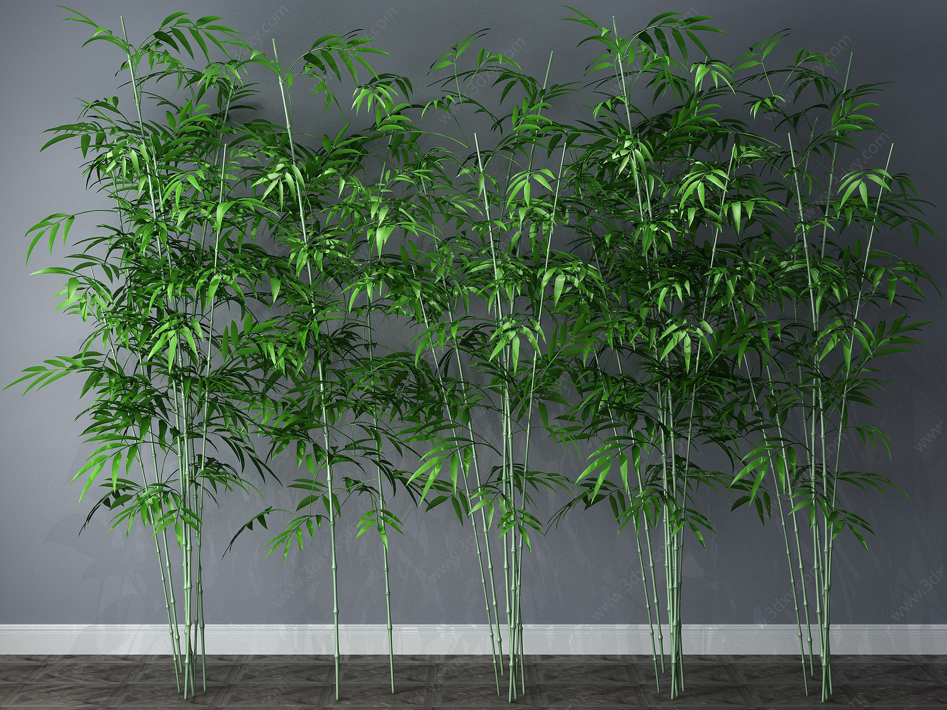 现代植物竹子竹3D模型