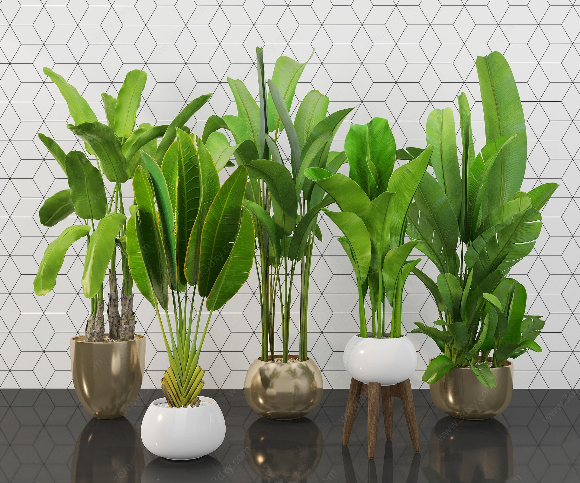 现代绿植盆栽摆件3D模型