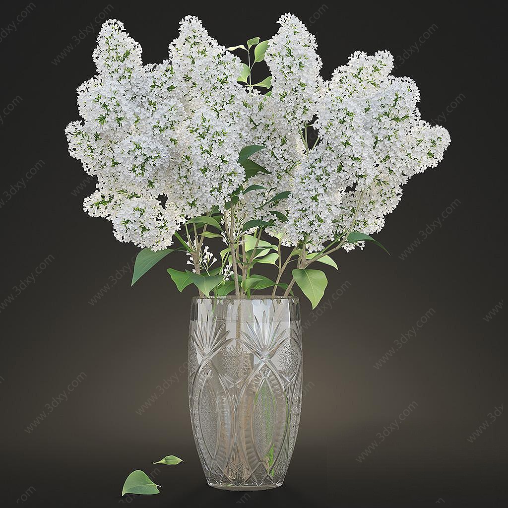 装饰植物花瓶3D模型