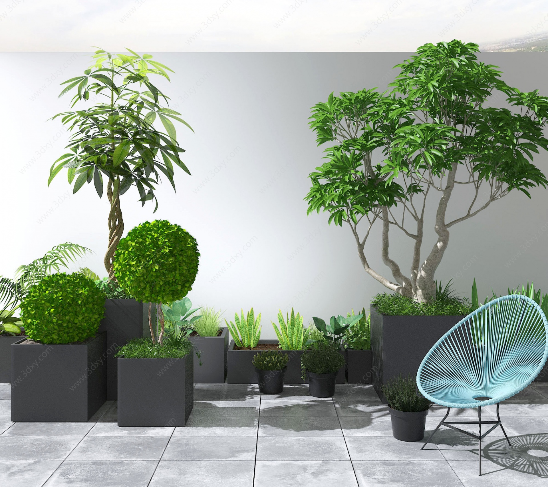 植物盆景盆栽绿植3D模型