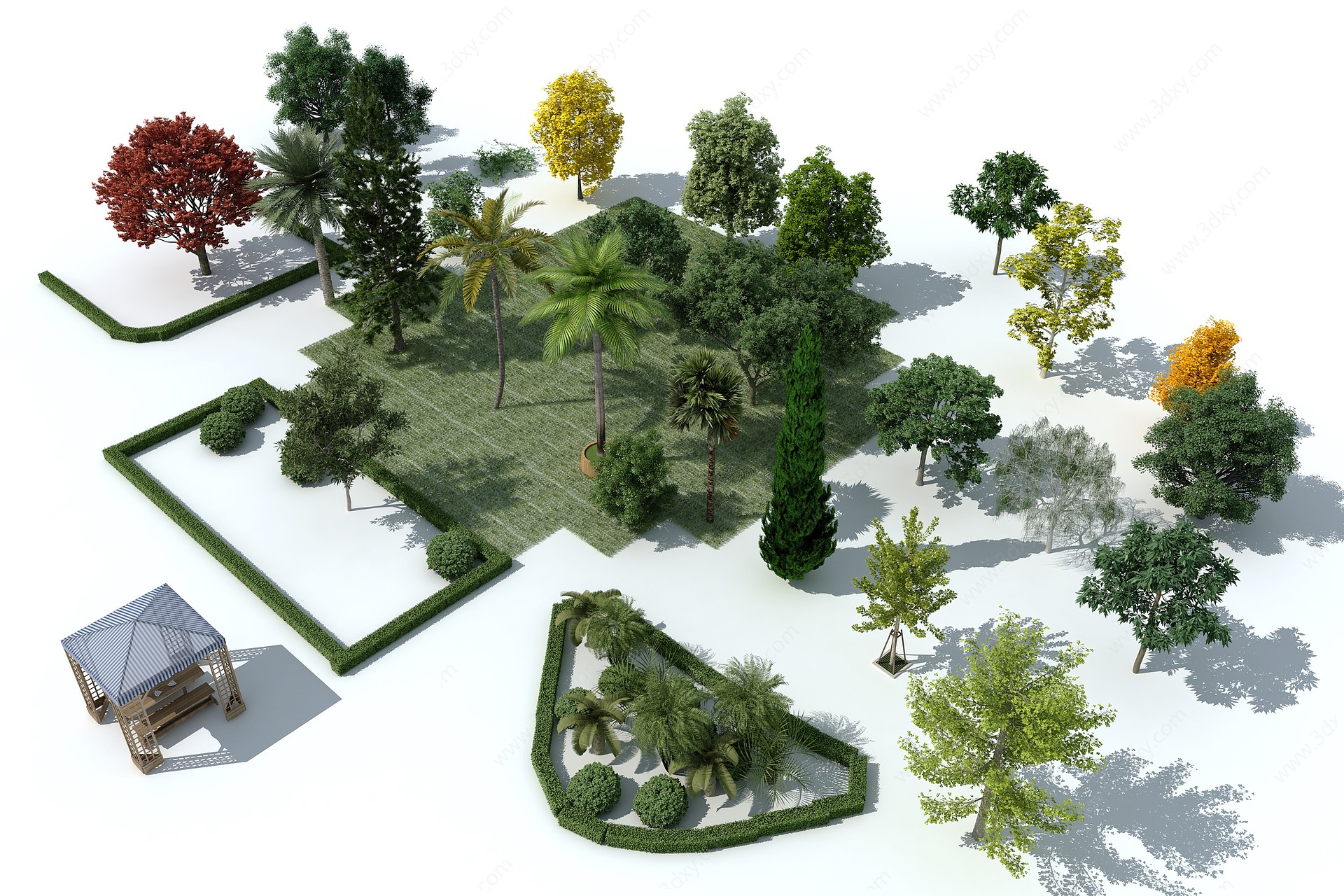 现代行道树景观树3D模型