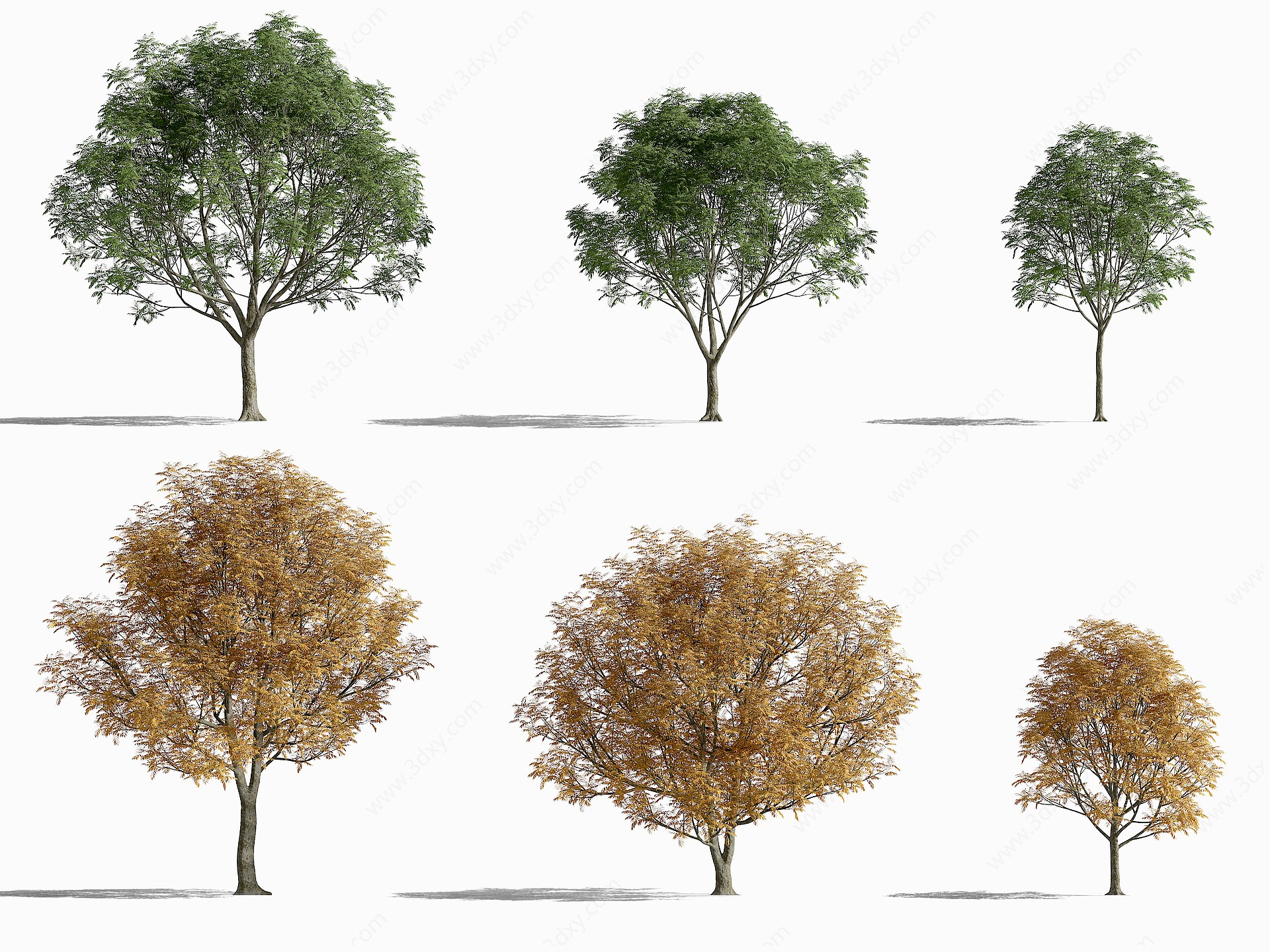 现代景观树枯树3D模型