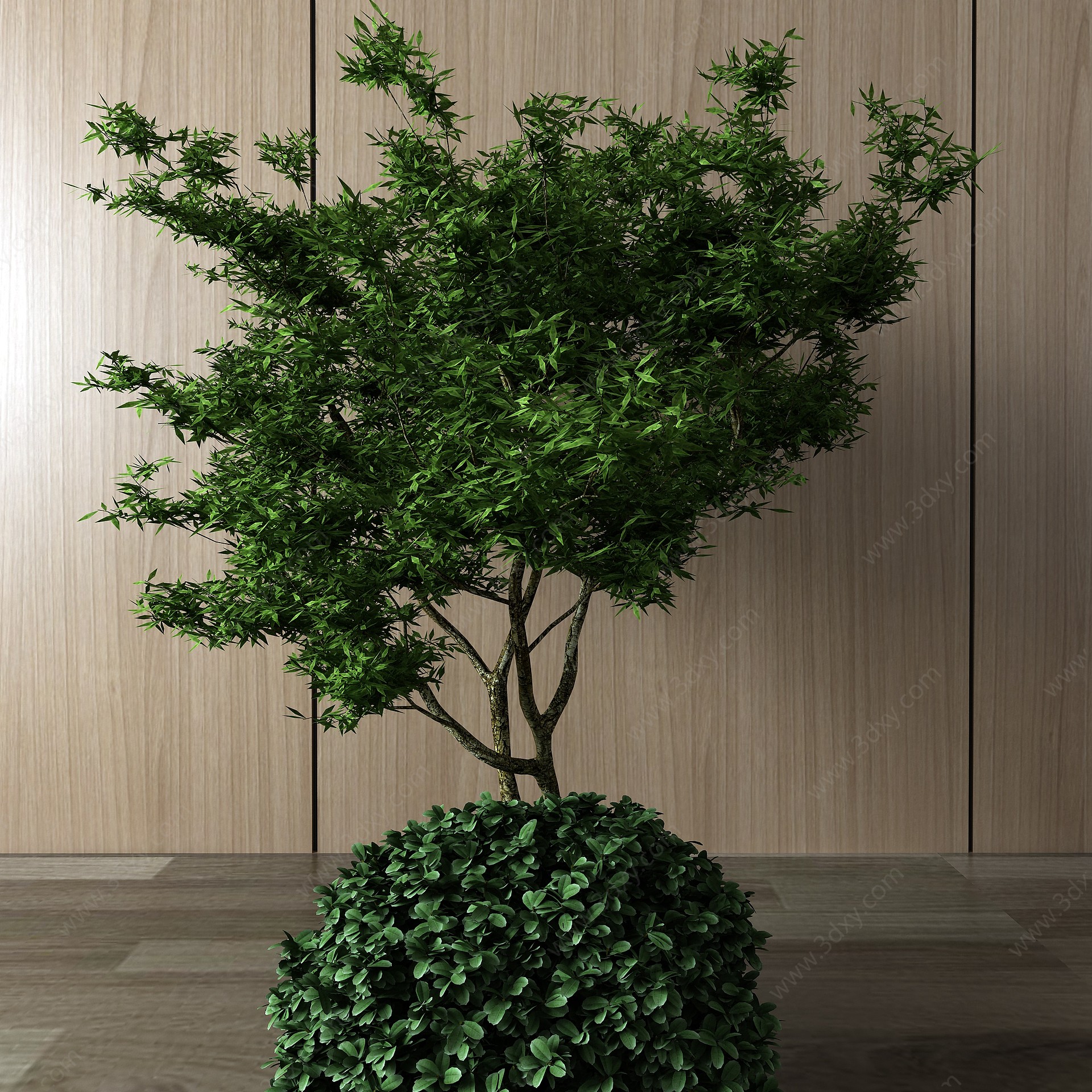 现代植物盆景树3D模型