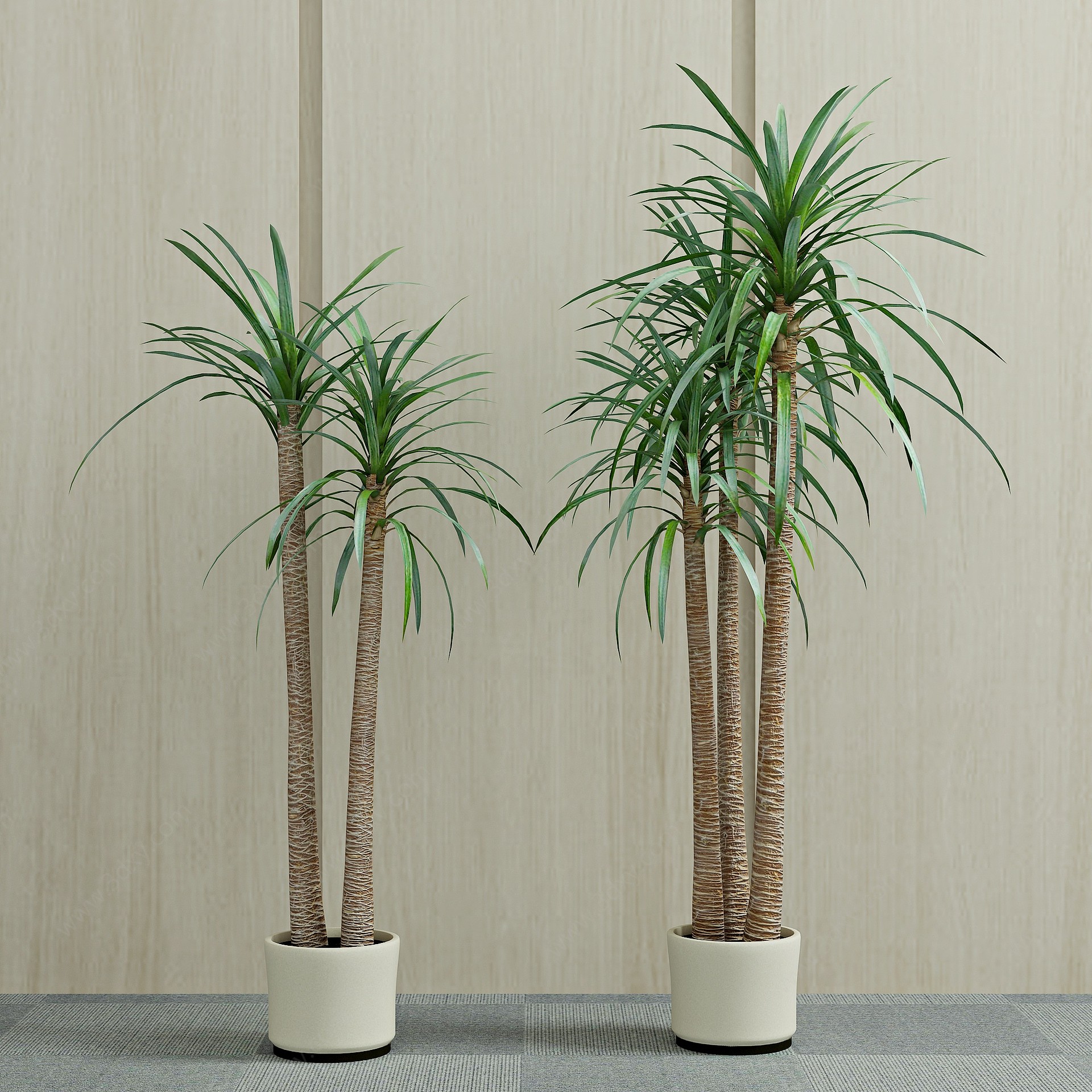 现代盆栽绿植植物3D模型