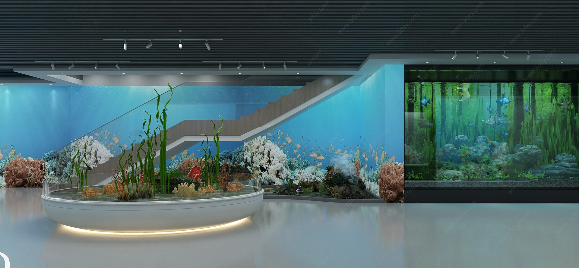 现代海洋生物展厅3D模型