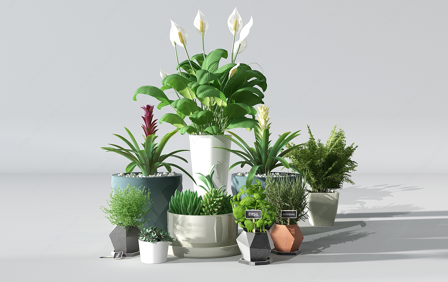 现代盆景花卉多肉植物3D模型
