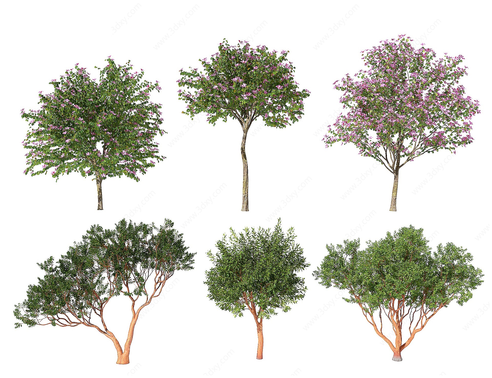 室外景观树木3D模型