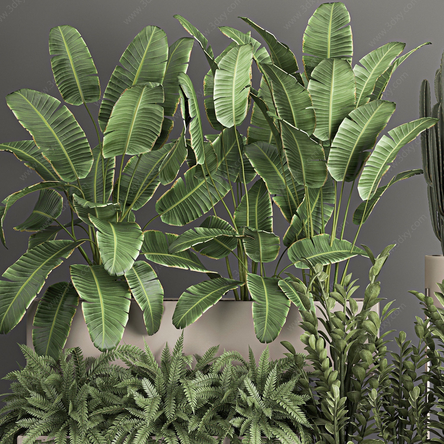 现代盆栽盆景3D模型