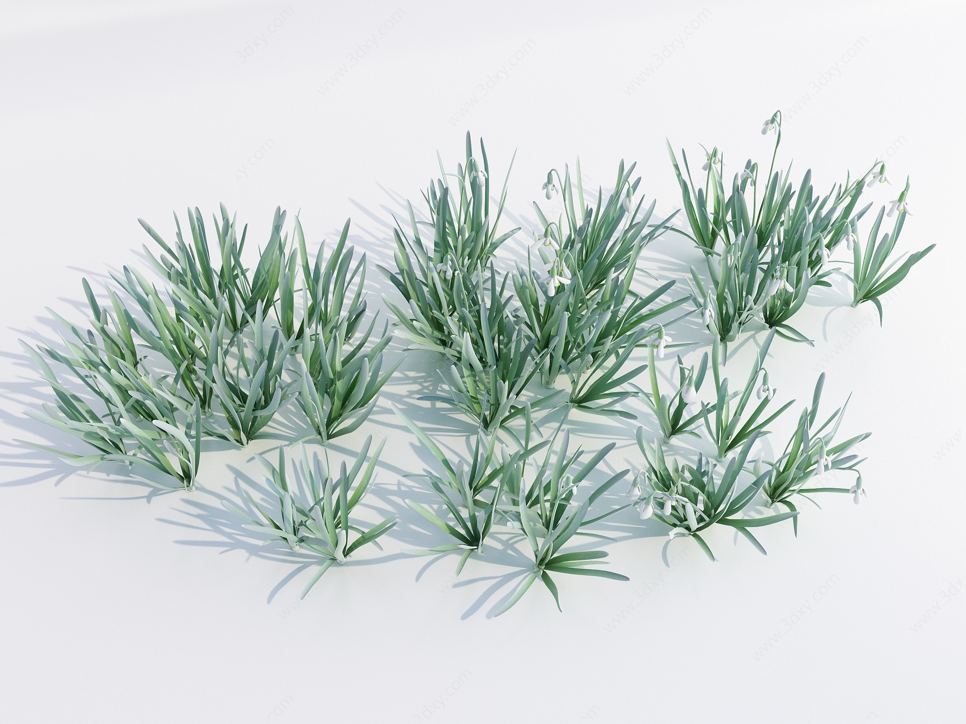 现代草丛植物3D模型