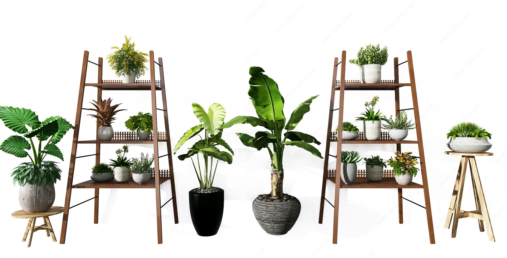 现代花架植物盆栽3D模型