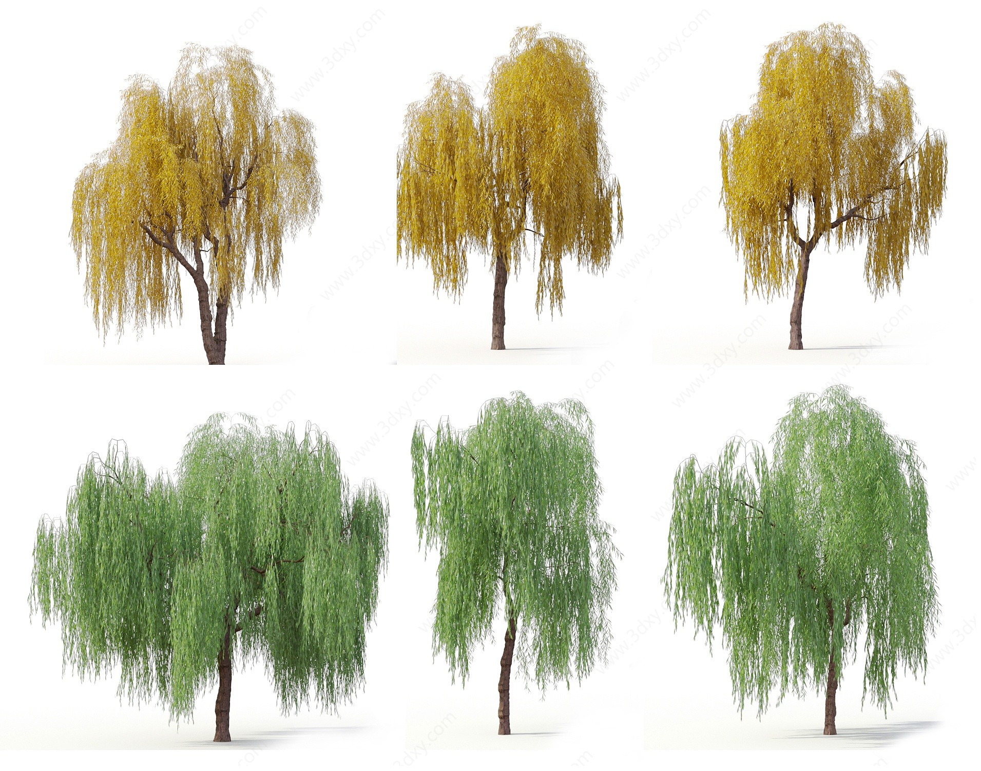 现代景观树柳树庭院3D模型