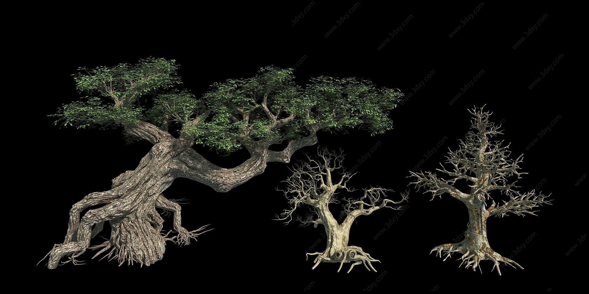 植物榕树枯木枯树3D模型
