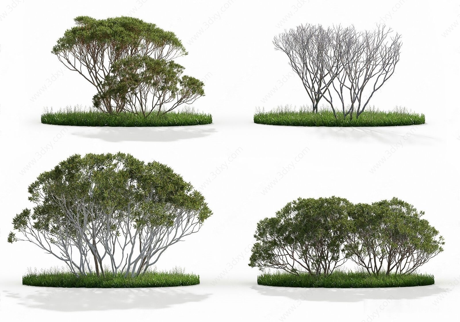现代观景树木3D模型