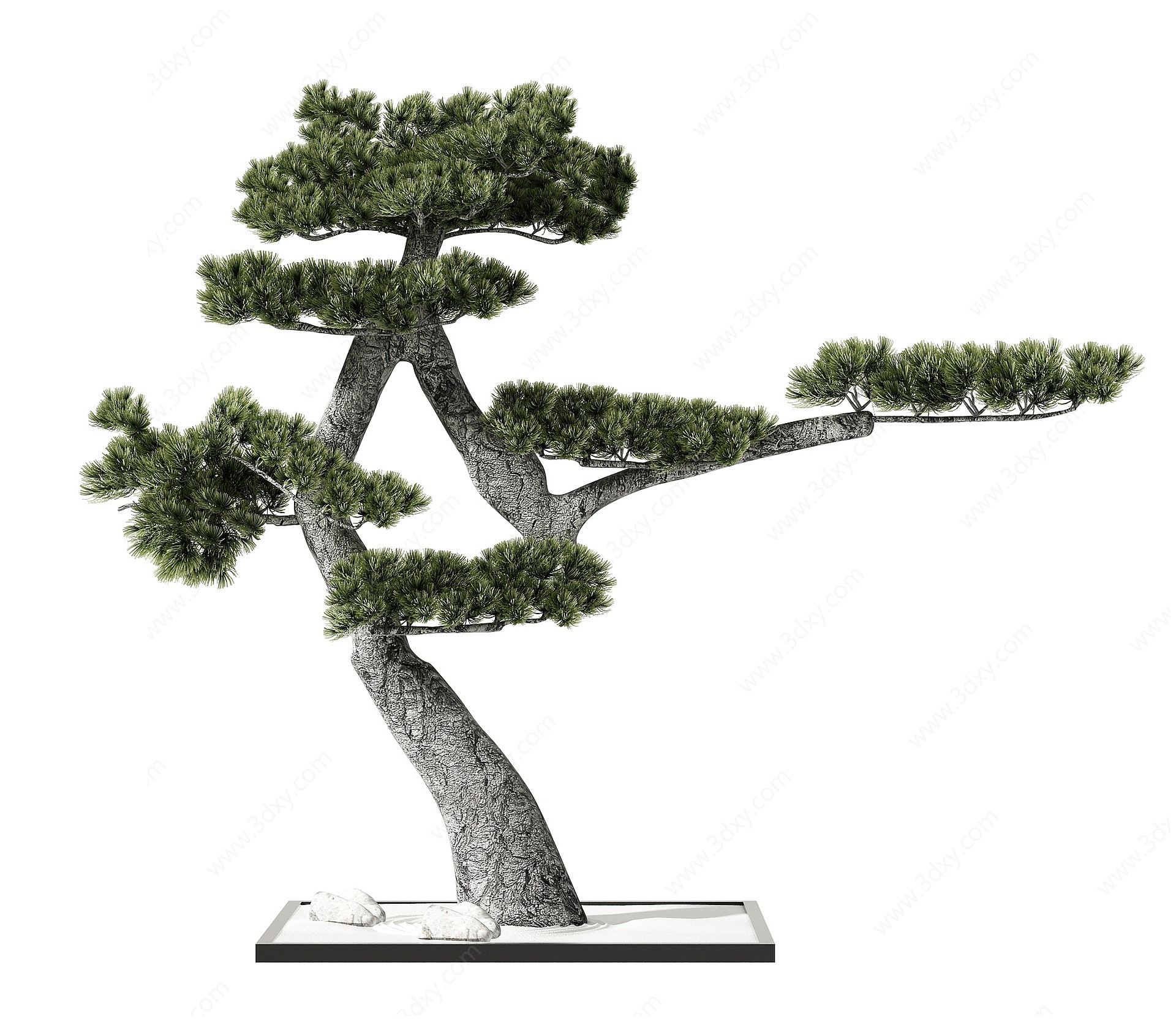 新中式景观树3D模型