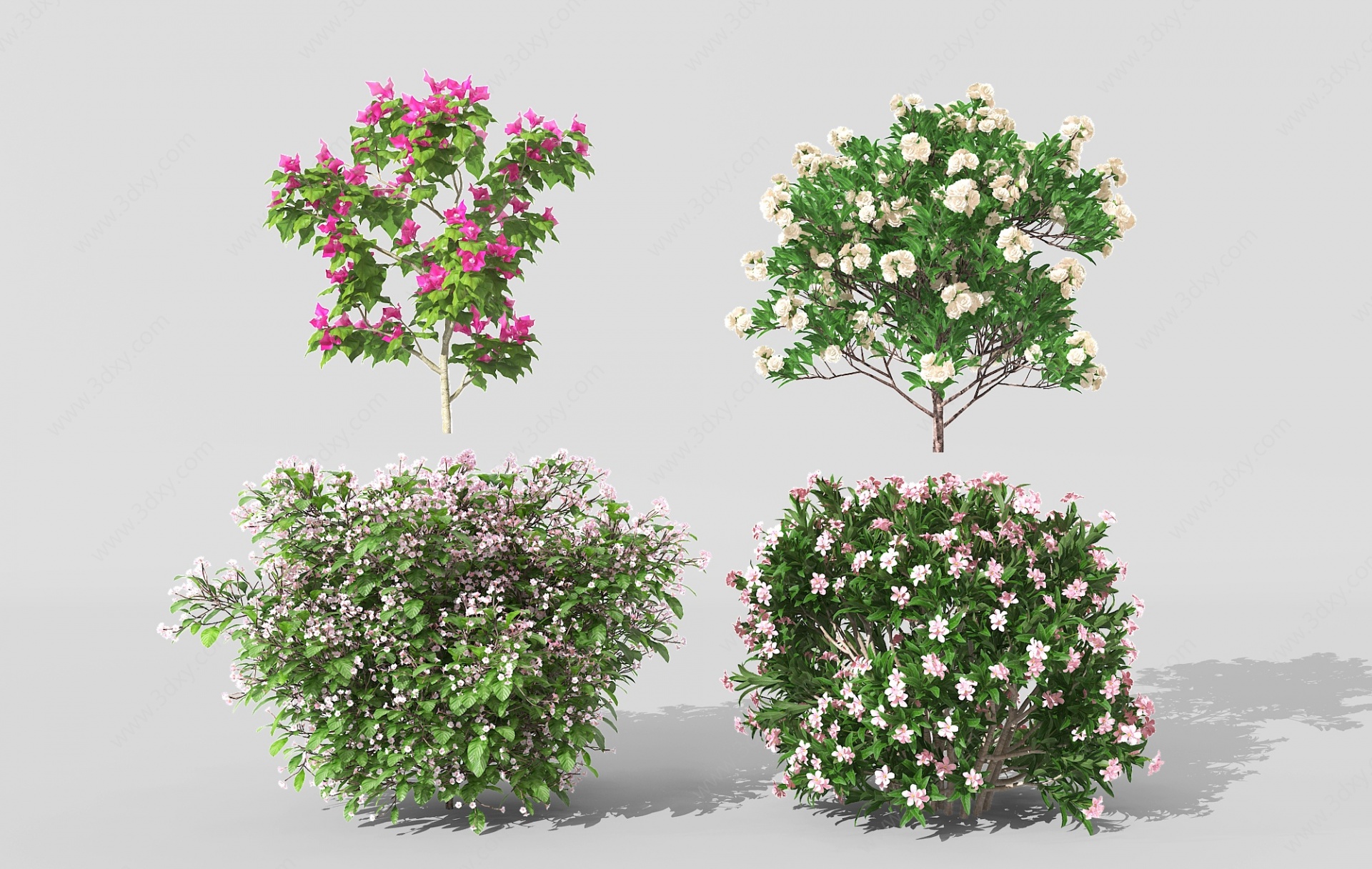 现代景观植物树灌木花草3D模型