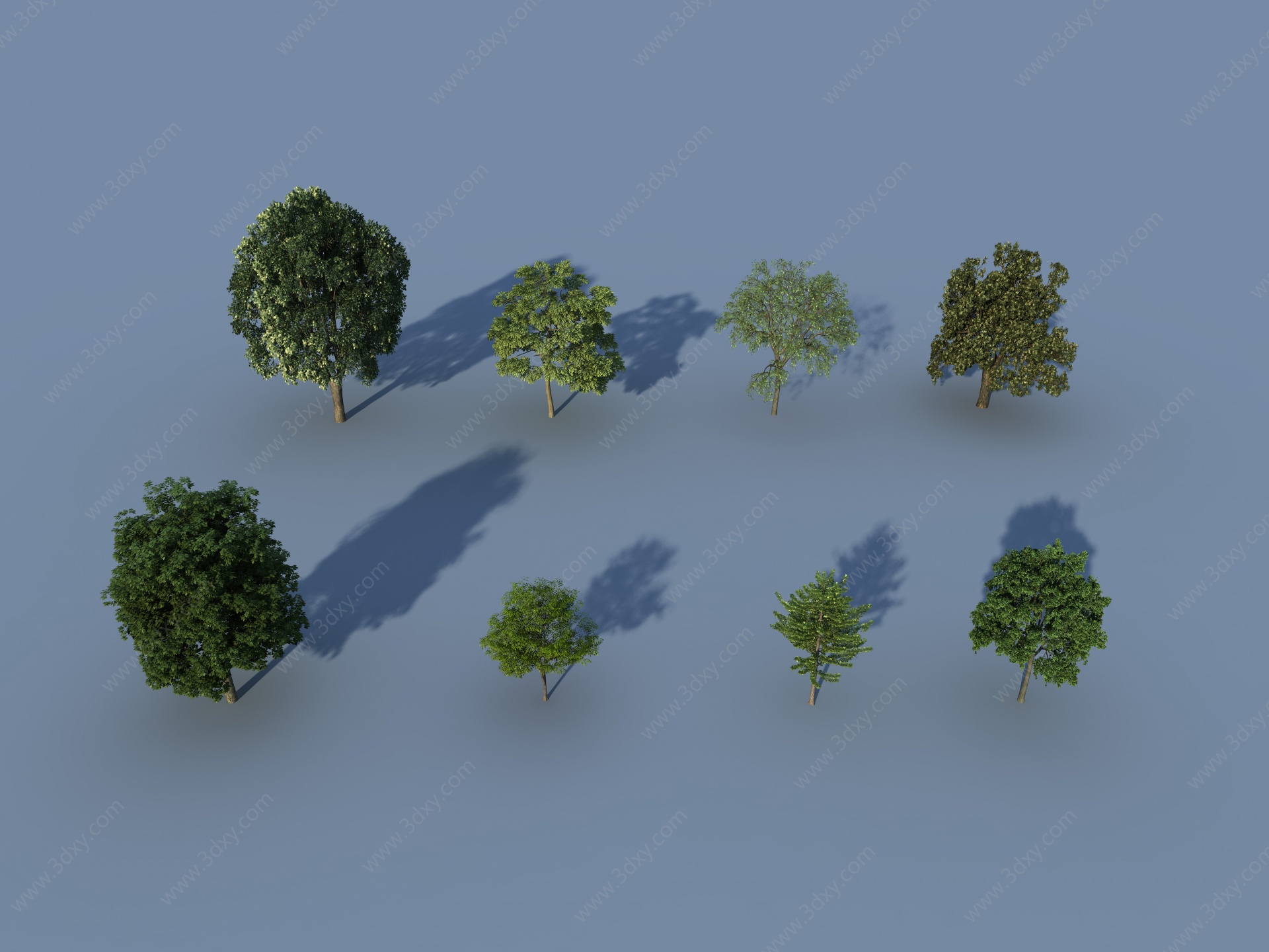 绿色植物树3D模型