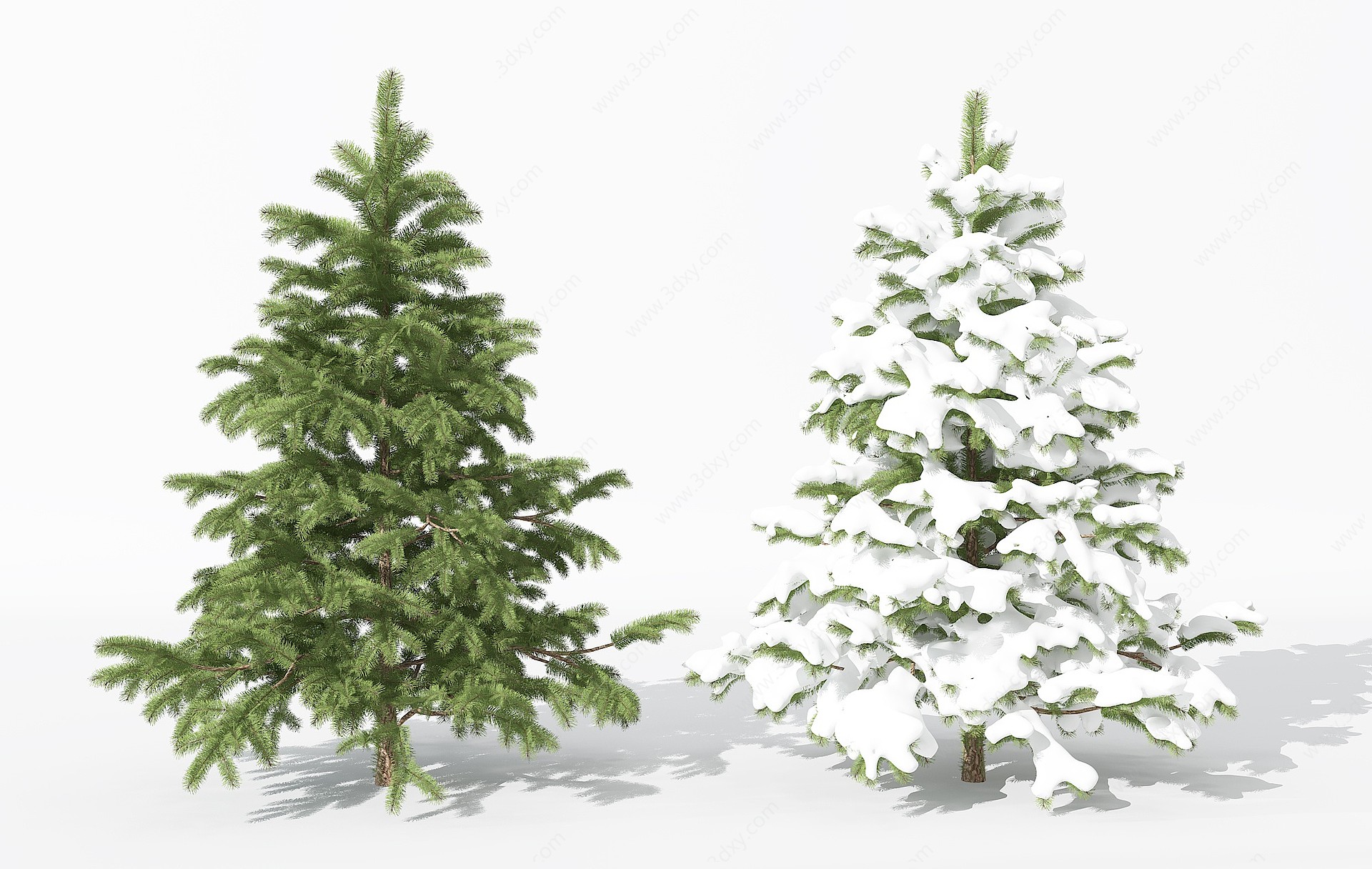 景观植物松柏雪景树3D模型