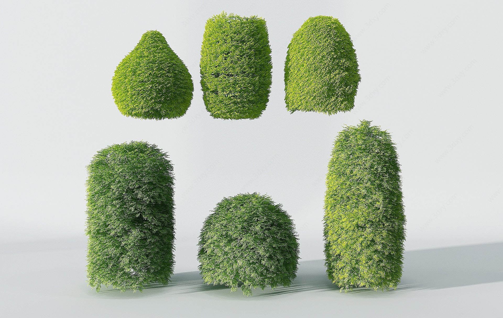 现代景观园林植物树3D模型