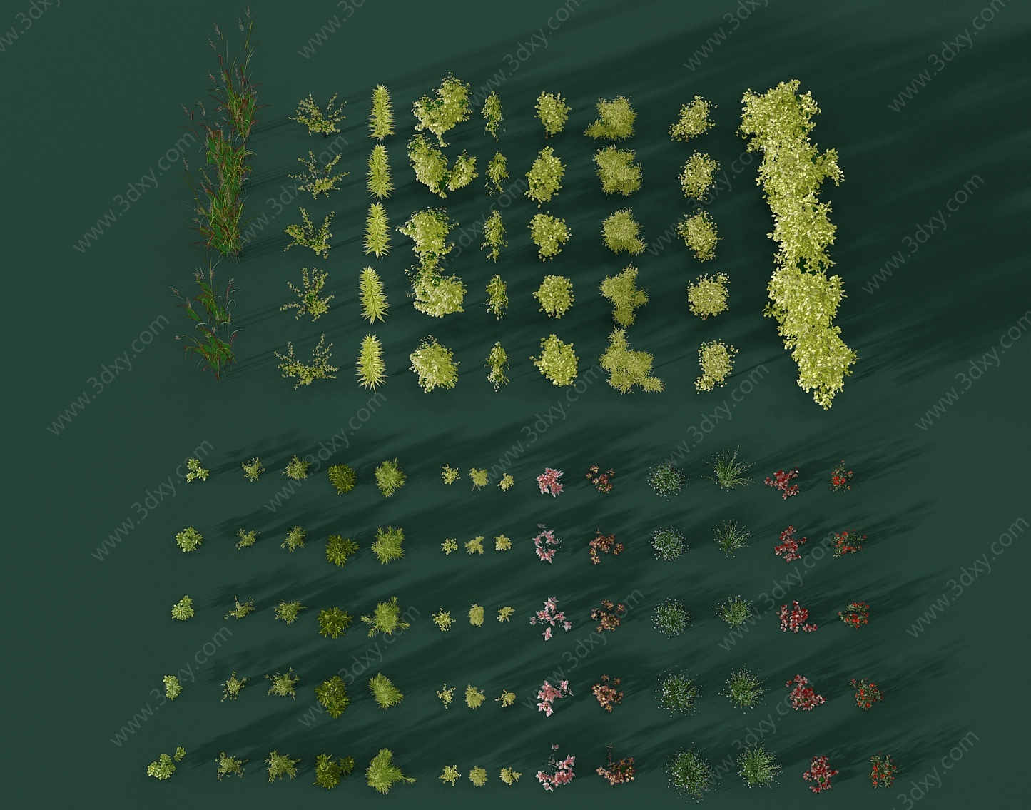 现代园林景观植物灌木3D模型
